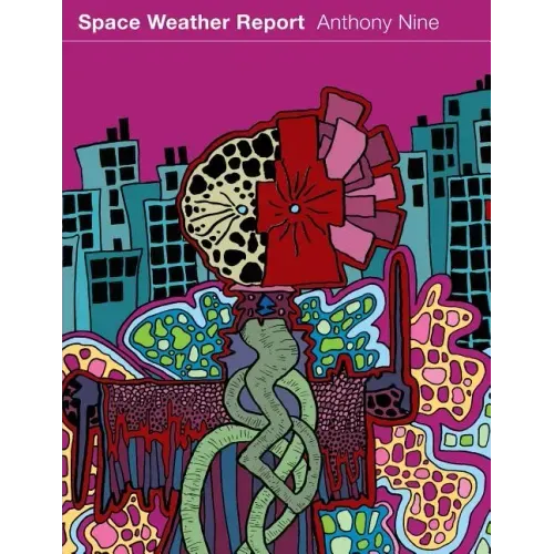Space Weather Report