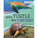 Is It a Turtle or a Tortoise?