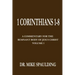 1 Corinthians 1-8: A Commentary For The Remnant Body of Jesus Christ, Volume 1
