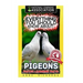 Everything You Should Know About: PIGEONS Faster Learning Facts