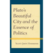 Plato's Beautiful City and the Essence of Politics