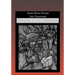 James Reese Europe: Jazz Lieutenant
