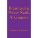 Breastfeeding Pelican Skulls At Gunpoint