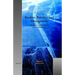 Borders, Barriers, and Ethnogenesis: Frontiers in Late Antiquity and the Middle Ages
