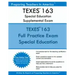 TEXES 163 Special Education Supplemental Exam: TEXES 163 Exam