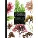 Seaweeds of the World: A Guide to Every Order