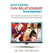 Electronic Fan Relationship Management: How a Professional Sports Team Can Successfully Use the Internet to Manage and Develop Fan Relationships