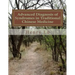 Advanced Diagnosis of Syndromes in Traditional Chinese Medicine