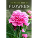 The Picture Book of Flowers: A Gift Book for Alzheimer's Patients and Seniors with Dementia