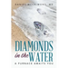 Diamonds in the Water: A Furnace Awaits You