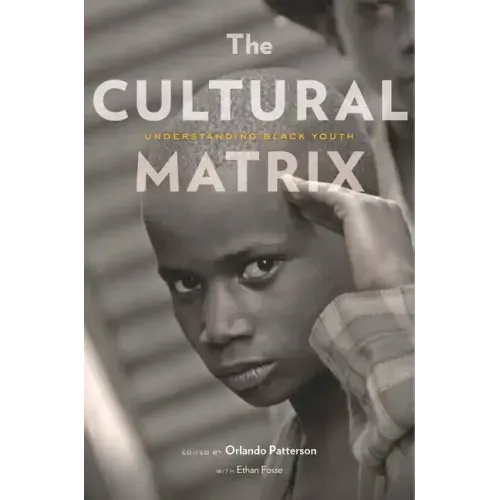 The Cultural Matrix: Understanding Black Youth