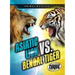 Asiatic Lion vs. Bengal Tiger