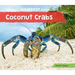 Coconut Crabs
