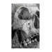 St. Irvyne; or, the Rosicrucian