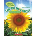 Can You See a Circle?: Explore Shapes (Nature Numbers)