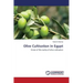 Olive Cultivation in Egypt