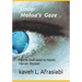 Under Mahsa's Gaze: Poems Dedicated to Heroic Iranian Women