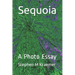 Sequoia: A Photo Essay