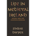 Life in Medieval Ireland