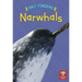 Narwhals