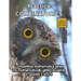 Practice Combinatorics: Level 2 (ages 9 to 11)