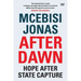 After Dawn: Hope After State Capture