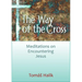 Way of the Cross: Meditations on Encountering Jesus