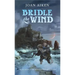 Bridle the Wind