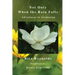Not Only When The Rain Falls: Adventures in Awakening