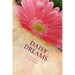 Daisy Dreams