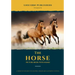 The Horse Picture Book With Names: A Beautiful Horse Picture Gift Book for Children, Seniors & Alzheimer Patients