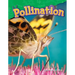 Pollination