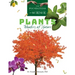 Plants: Wonders of Nature