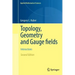 Topology, Geometry and Gauge Fields: Interactions