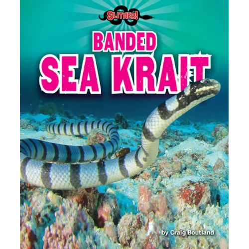 Banded Sea Krait