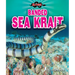 Banded Sea Krait