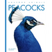 Peacocks