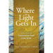 Where the Light Gets In: Stories about the Transformative Power of One Action