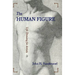 The Human Figure