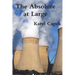 The Absolute at Large