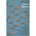 Fancy Pigeons: Containing Full Directions For Their Breeding And Management