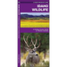 Idaho Wildlife: A Folding Pocket Guide to Familiar Animals