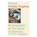 Stonepicker & the Book of Mirrors