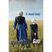 Volunteer Gap