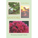 Sanddre: The Journey Emerald's Travels