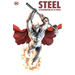 Steel: A Celebration of 30 Years: Hc - Hardcover