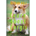 Learn About Corgis