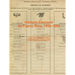 Elecciones en Puerto Rico, 1899-1964