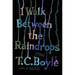 I Walk Between the Raindrops: Stories