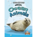 Super Cute Ocean Animals